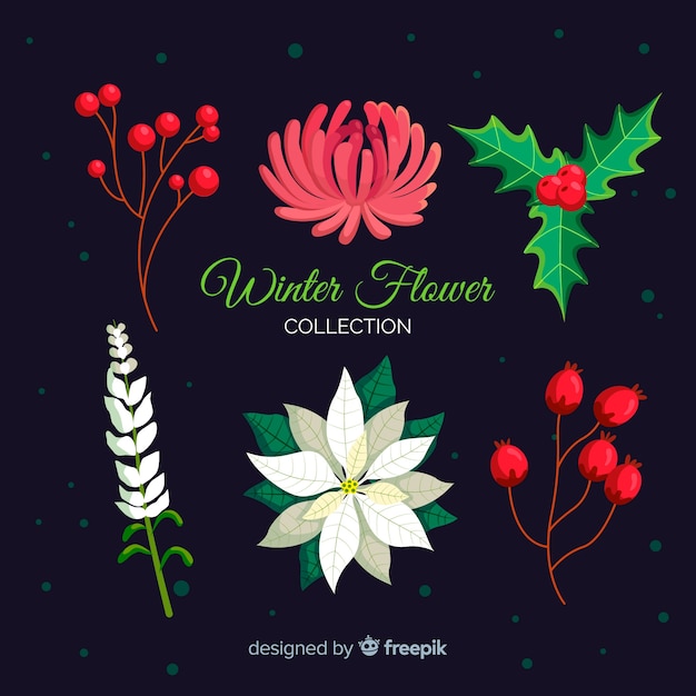 Vector gratuito colección flores invierno dibujadas a mano