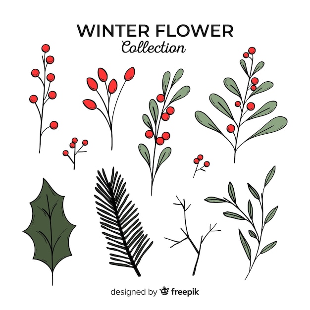 Vector gratuito colección de flores de invierno dibujadas a mano