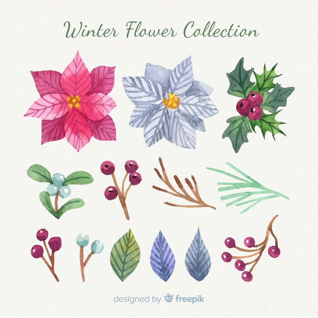 Colección flores invierno dibujadas a mano