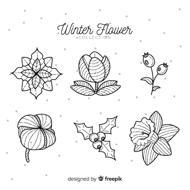 Colección de flores de invierno dibujadas a mano