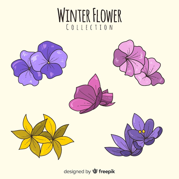 Vector gratuito colección de flores de invierno dibujadas a mano