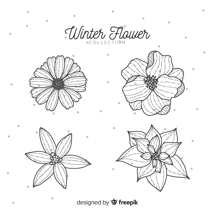 Vector gratuito colección de flores de invierno dibujadas a mano