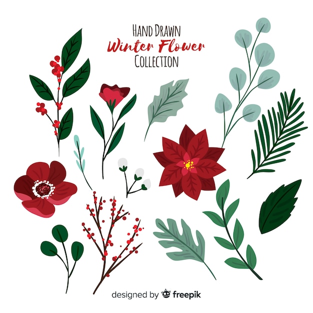 Colección flores invierno dibujadas a mano