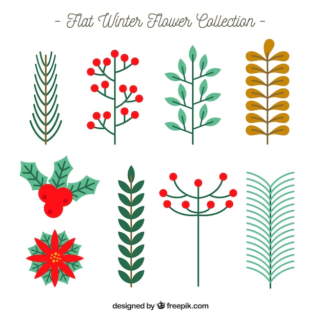 Vector gratuito colección de flores de invierno en diseño plano