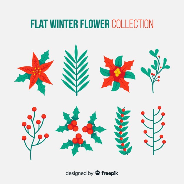 Colección de flores de invierno en diseño plano