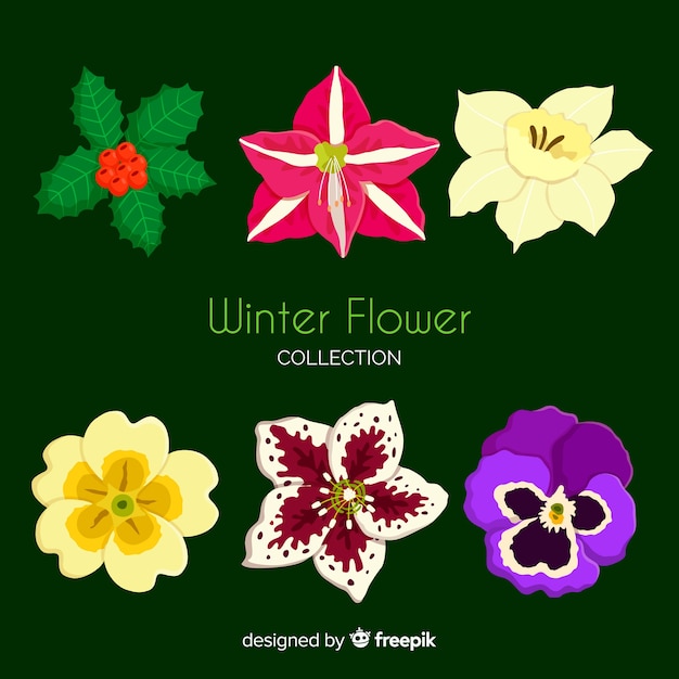 Colección de flores de invierno en diseño plano