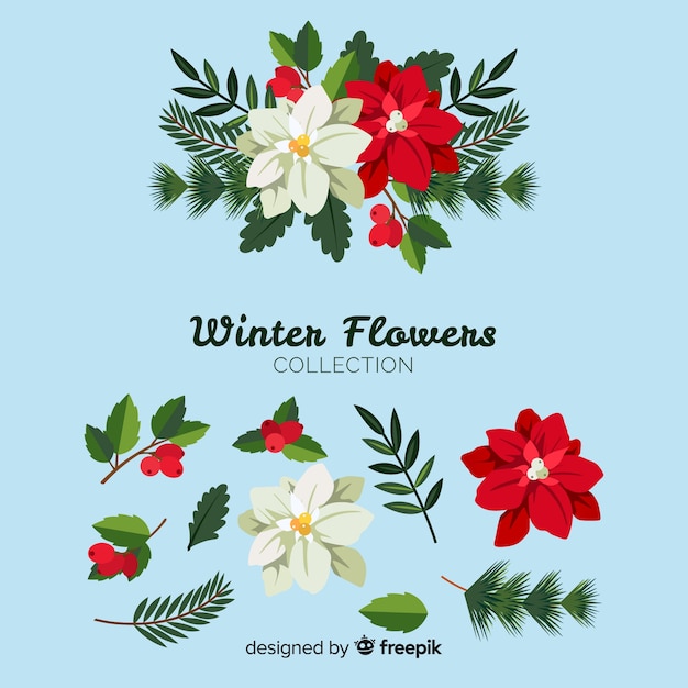 Vector gratuito colección de flores de invierno en diseño plano