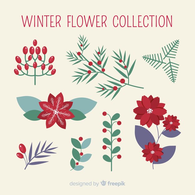 Colección de flores de invierno en diseño plano