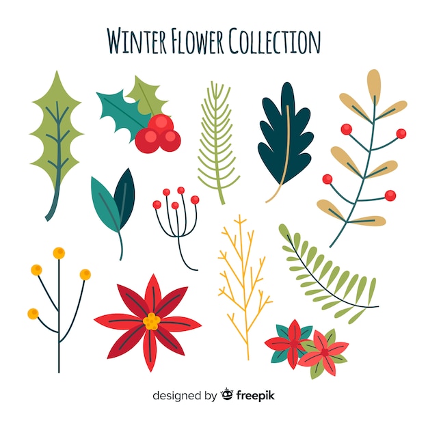 Colección de flores de invierno en diseño plano