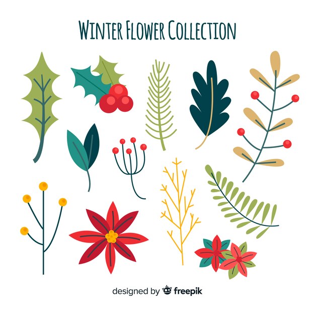 Colección de flores de invierno en diseño plano