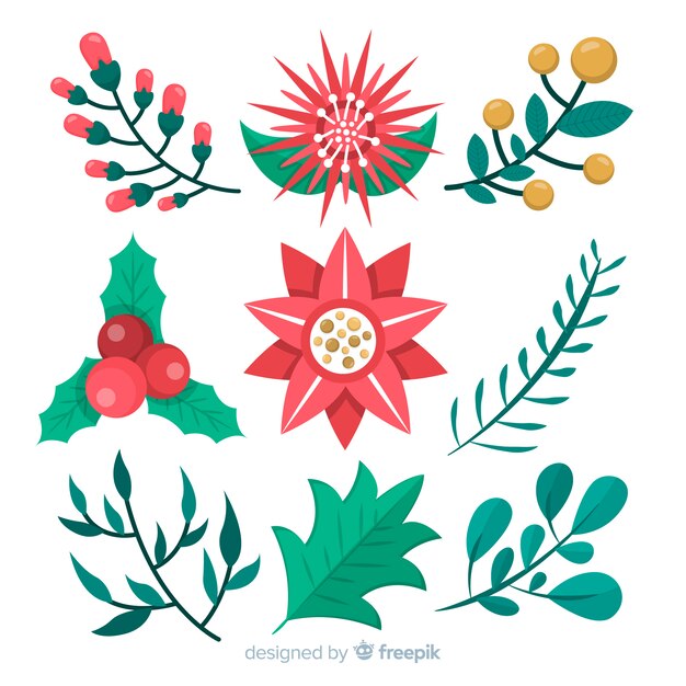 Colección de flores de invierno en diseño plano