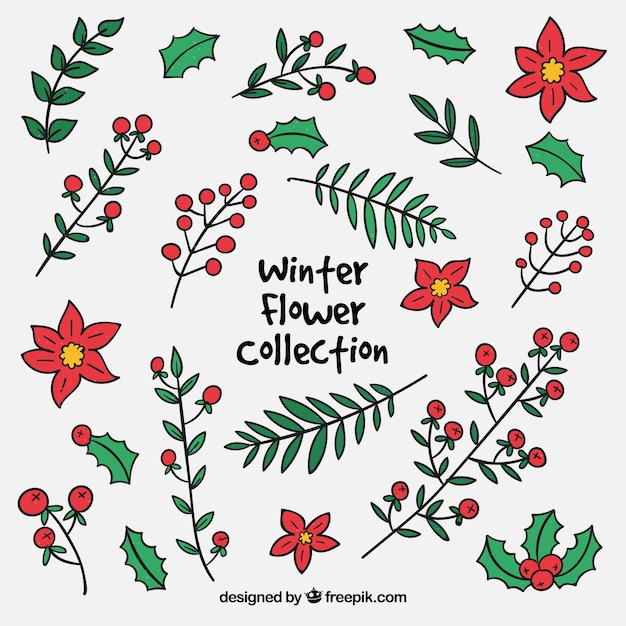 Colección de flores de invierno en rojo y verde
