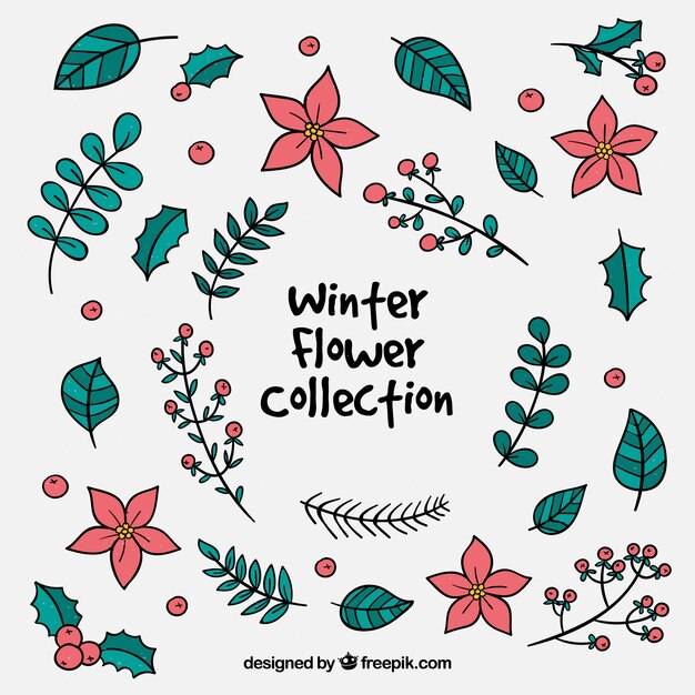 Colección de flores de invierno en rosa y verde