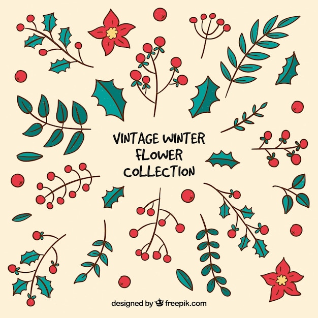 Colección de flores de invierno vintage