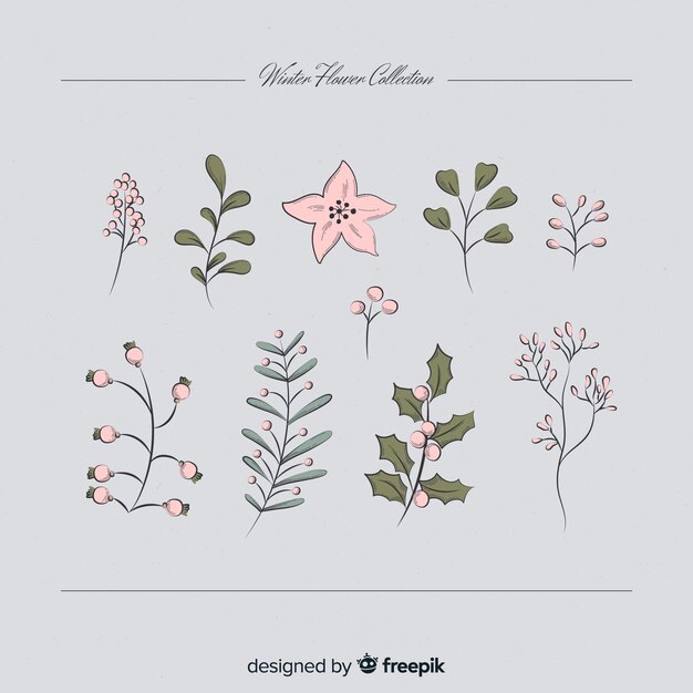Colección de flores de invierno vintage