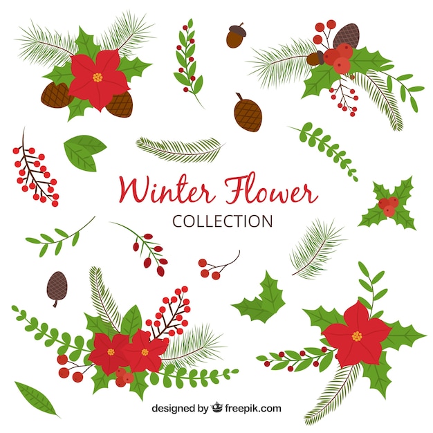 Vector gratuito colección de flores de invierno