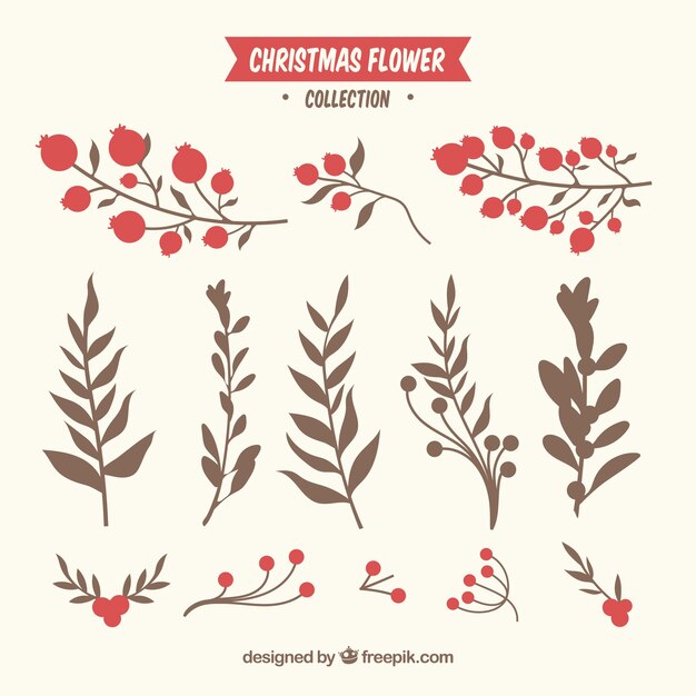 Colección de flores de invierno