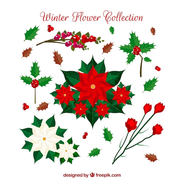 Vector gratuito colección de flores de invierno