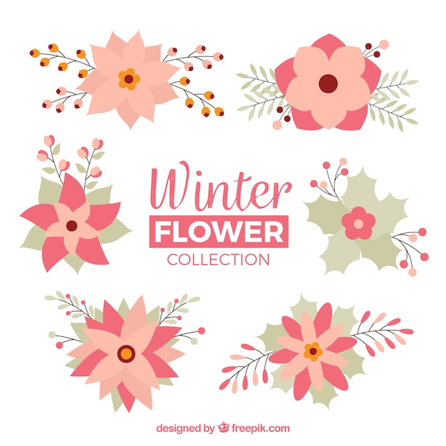 Colección de flores de invierno