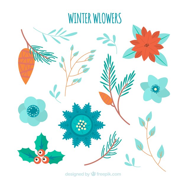 Colección de flores de invierno