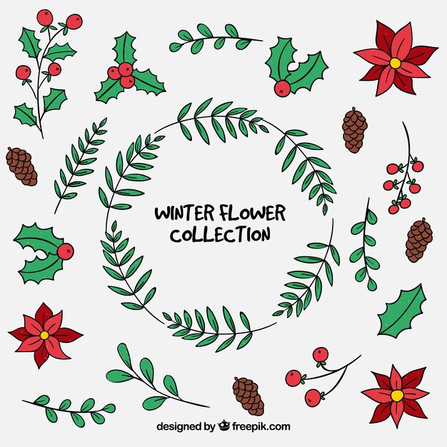 Colección de flores de invierno