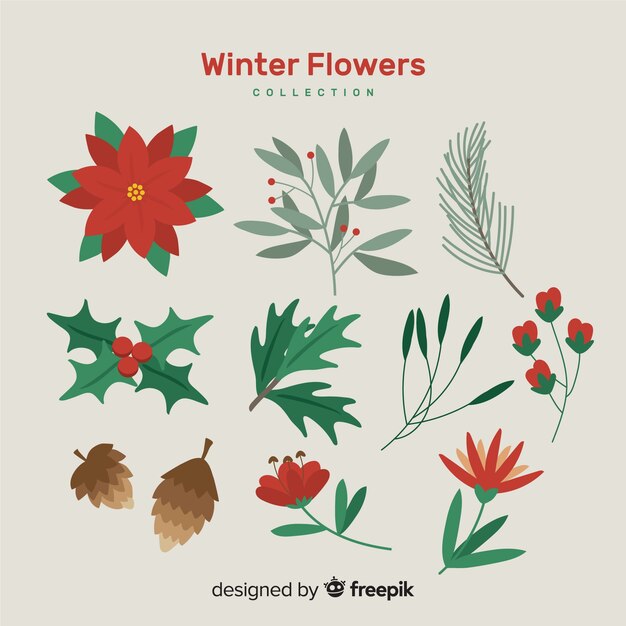 Colección de flores de invierno