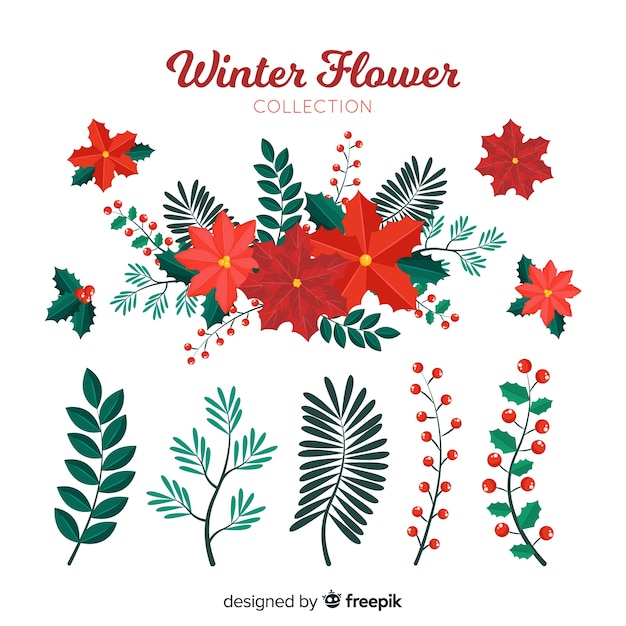 Vector gratuito colección de flores de invierno