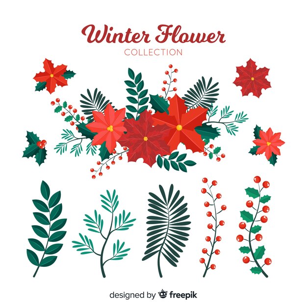 Colección de flores de invierno