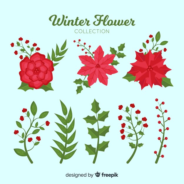 Colección de flores de invierno