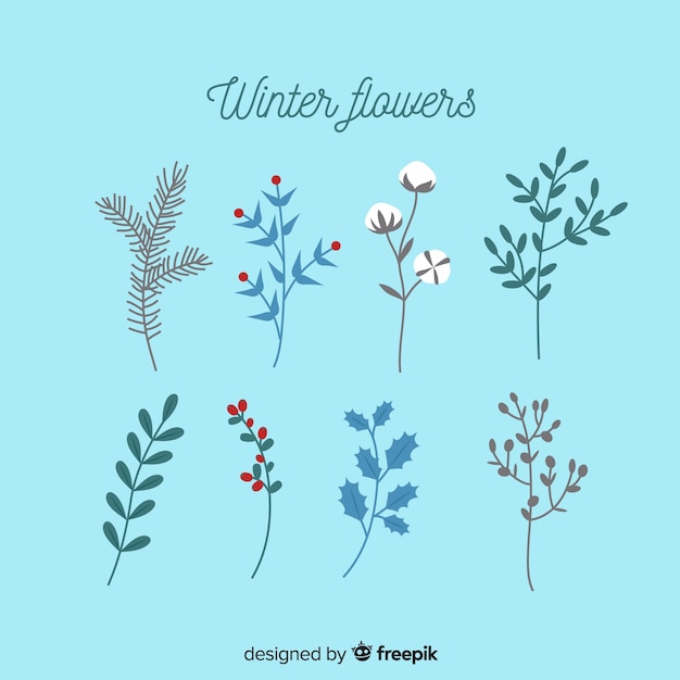 Vector gratuito colección de flores de invierno