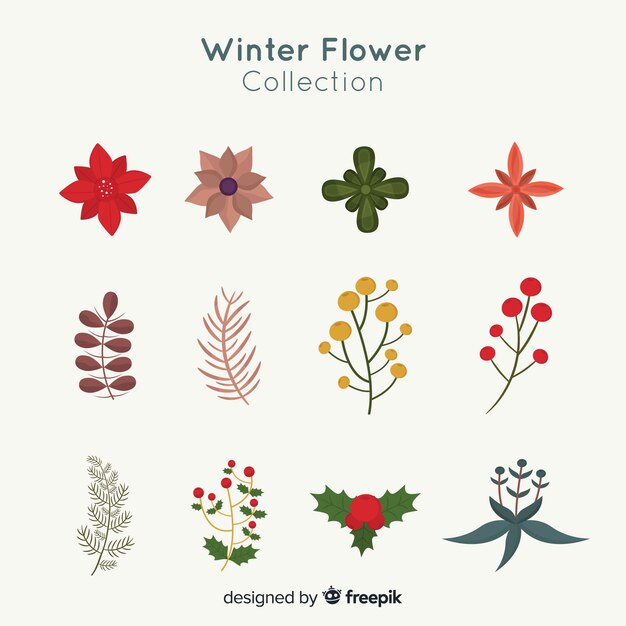 Colección de flores de invierno