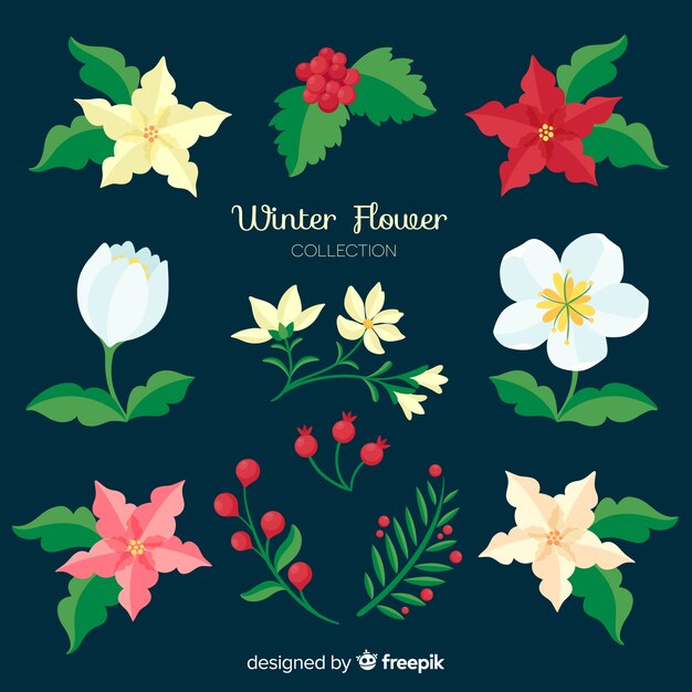 Colección de flores de invierno