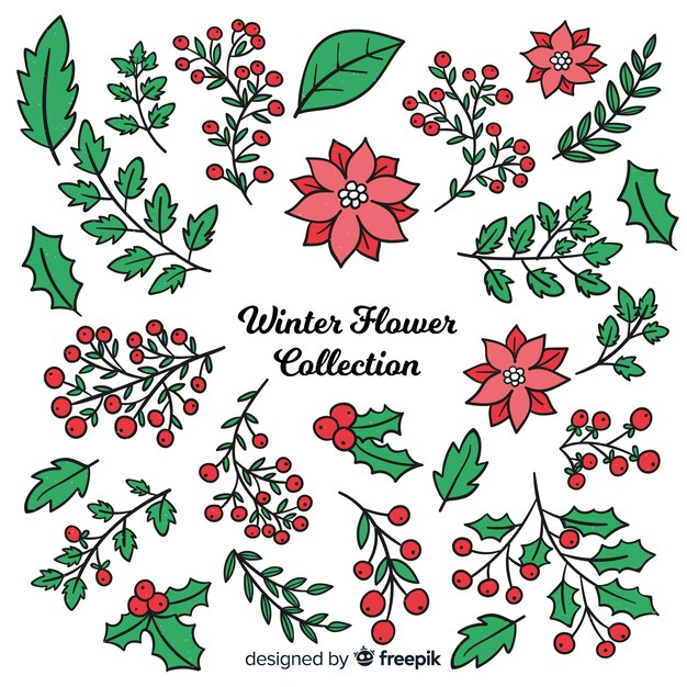 Colección de flores de invierno