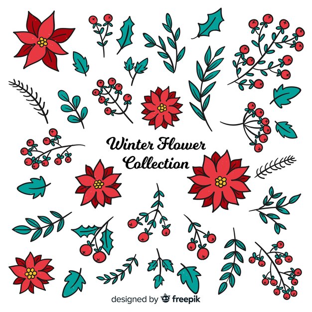 Colección de flores de invierno