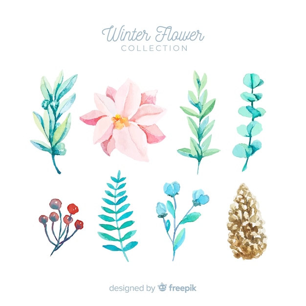 Vector gratuito colección de flores de invierno