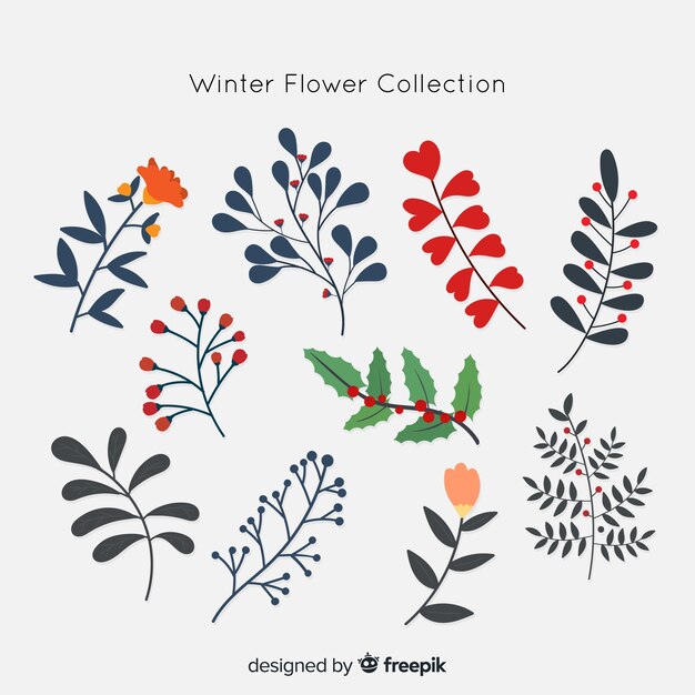 Colección de flores de invierno
