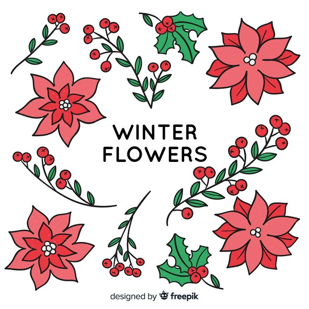 Colección de flores de invierno