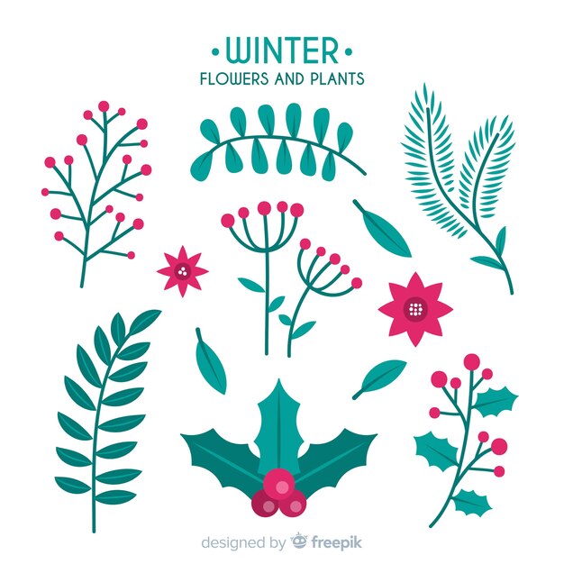 Colección de flores de invierno