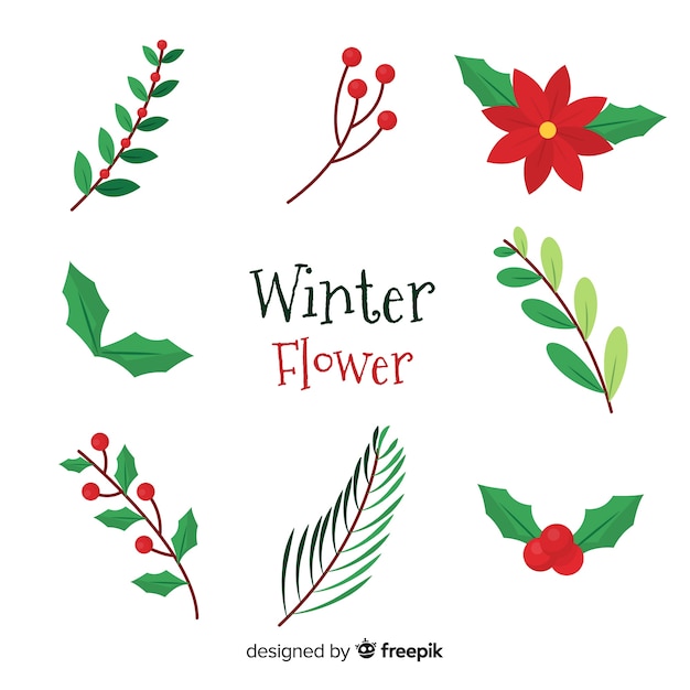 Colección de flores de invierno