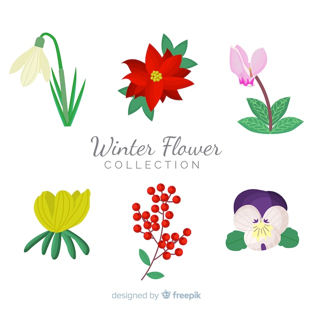 Vector gratuito colección de flores de invierno