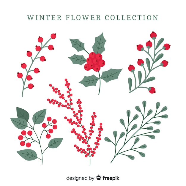 Vector gratuito colección de flores de invierno