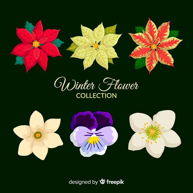 Colección de flores de invierno