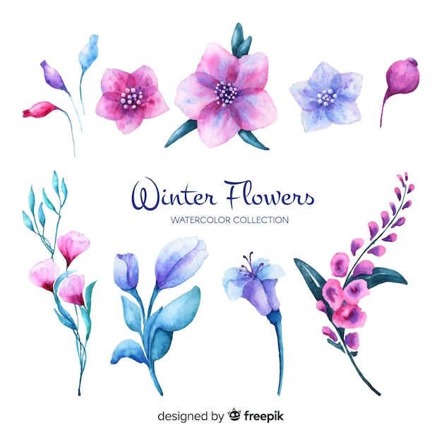 Vector gratuito colección de flores de invierno