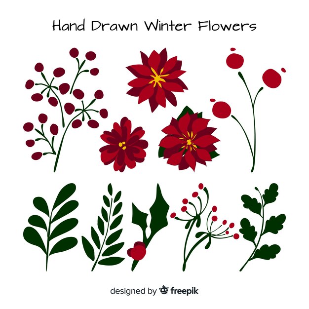 Colección de flores de invierno