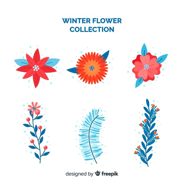 Colección de flores de invierno