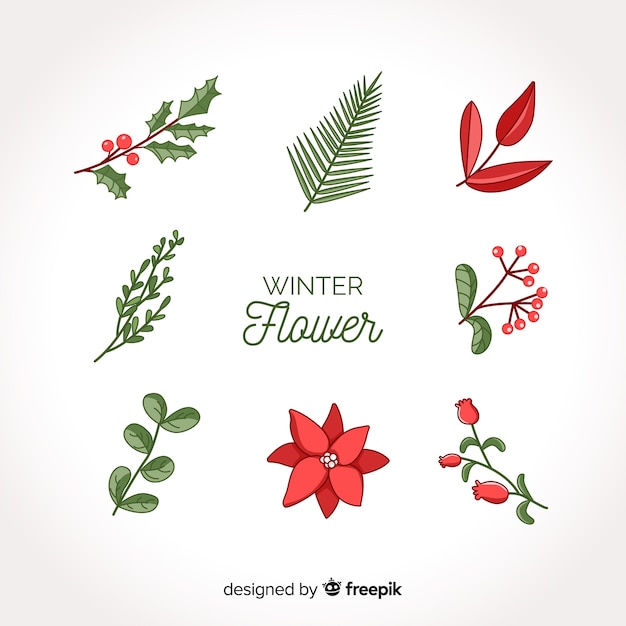 Vector gratuito colección de flores de invierno