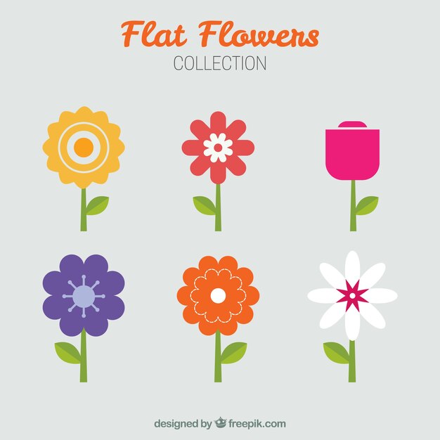 Colección de flores minimalistas