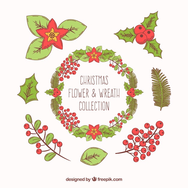 Colección de flores de navidad y coronas dibujada a mano