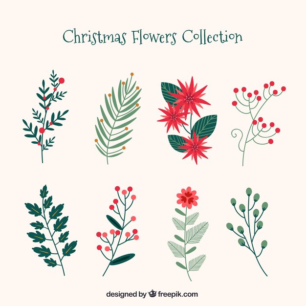 Colección de flores navideñas