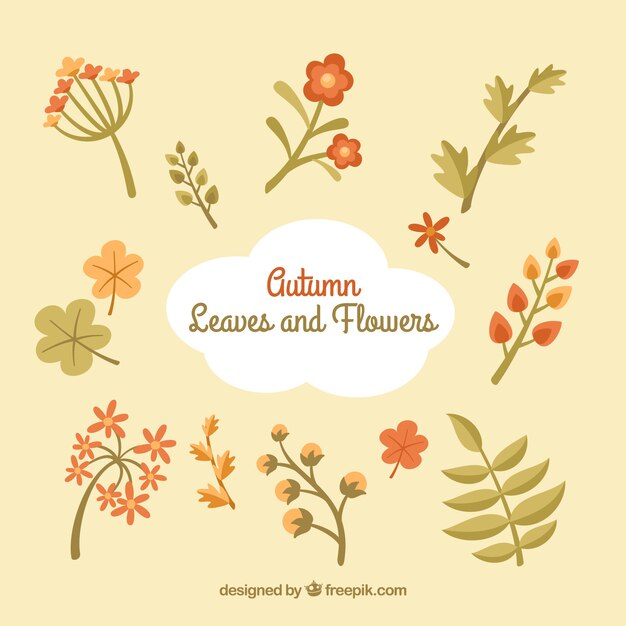Colección de flores y otoños vintage